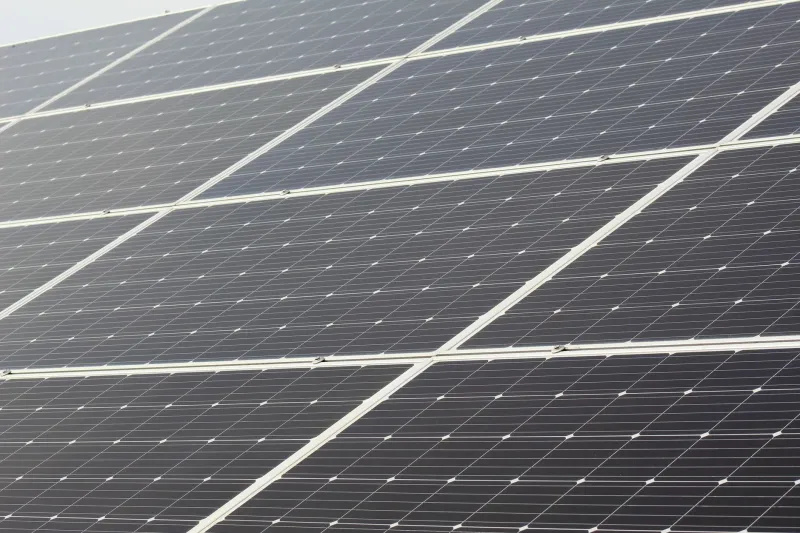 America's Big Tech Has a Climate Hangover — and India Is Selling the Cure
