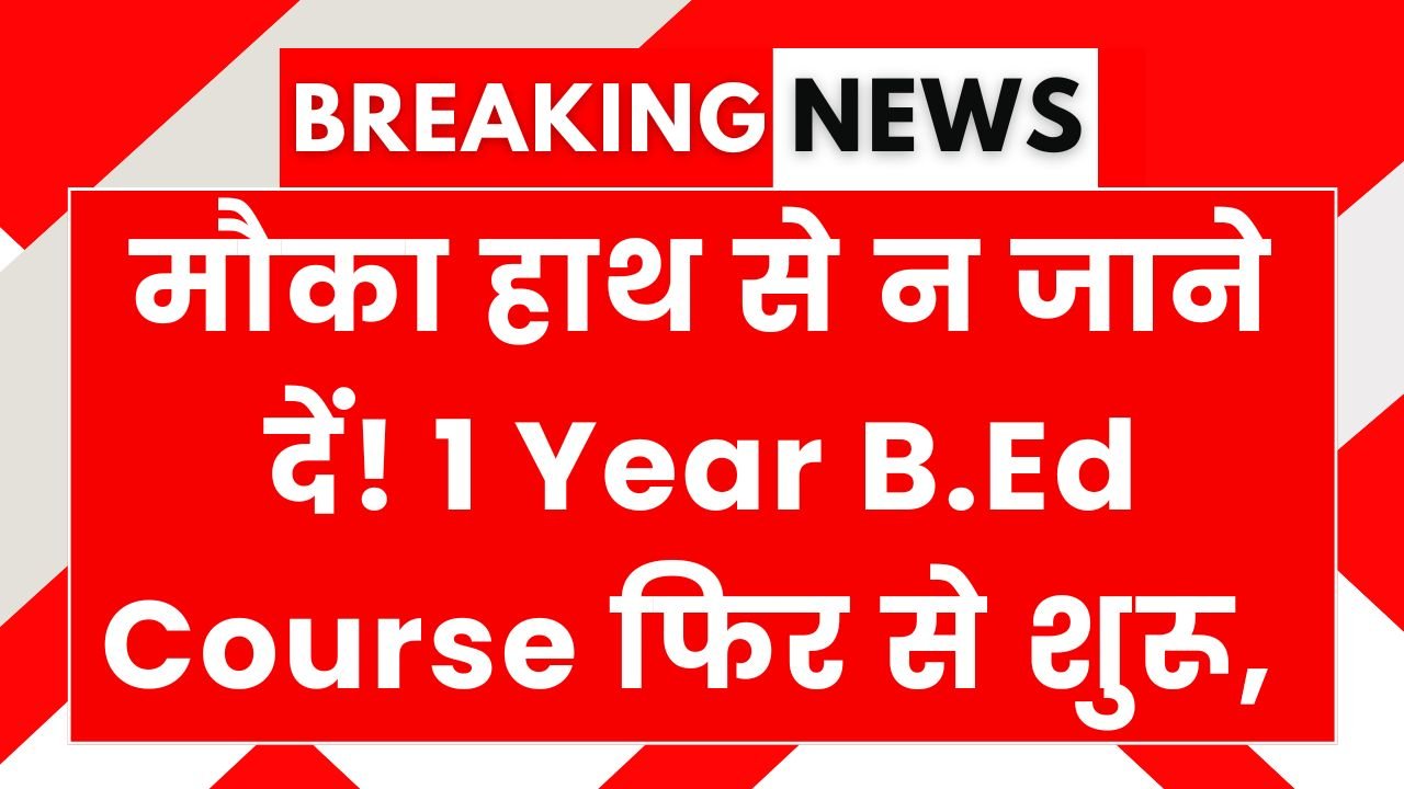 1 Year B.Ed Course